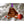 Load image into Gallery viewer, ECU - Ornament - Logo Cutout Skull and Crossbones Ornament LazerEdge 
