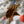 Load image into Gallery viewer, Elizabeth City State University Vikings Ornament – Crafted from Cherry and Maple Wood – ECSU Vikings
