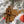 Load image into Gallery viewer, West Virginia University Mountaineer on State Ornament – Crafted from Cherry and Maple Wood – West Virginia Mountaineers
