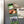 Load image into Gallery viewer, St. Edward's University Logo Magnet - Crafted from Cherry or Maple Wood - St. Edward's Hilltoppers
