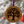 Load image into Gallery viewer, High Point University Seal Ornament – Crafted from Cherry Wood or Maple Wood – High Point Panthers
