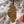 Load image into Gallery viewer, Western Illinois University Fight Song Ornament – Crafted from Cherry and Maple Wood – Western Illinois Leathernecks
