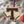 Load image into Gallery viewer, Tarleton State University Texas Logo Ornament – Crafted from Cherry and Maple Wood – Tarleton Texans
