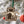 Load image into Gallery viewer, Loyola-Maryland Greyhounds Ornament – Crafted from Cherry or Maple Wood – Loyola Greyhounds
