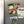 Load image into Gallery viewer, Bowling Green State University BG with Falcon Magnet - Crafted from Cherry or Maple Wood - BGSU Falcons
