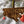 Load image into Gallery viewer, Towson University Tigers Ornament – Crafted from Cherry and Maple Wood – Towson Tigers
