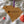 Load image into Gallery viewer, Furman University Wordmark on State Ornament – Crafted from Cherry Wood or Maple Wood - Furman Paladins
