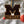 Load image into Gallery viewer, University of Michigan Ornament – Crafted from Cherry and Maple Wood
