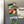 Load image into Gallery viewer, Johnson C. Smith University Golden Bulls Magnet - Crafted from Cherry or Maple Wood - JCSU Golden Bulls
