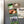 Load image into Gallery viewer, Georgia Southern Eagles Magnet - Crafted from Cherry or Maple Wood - Georgia Southern Eagles

