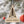 Load image into Gallery viewer, United States Space Force Emblem Ornament – Crafted from Cherry or Maple Wood
