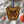 Load image into Gallery viewer, Butler University Bulldog Ornament – Crafted from Cherry and Maple Wood – Butler Bulldogs
