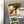 Load image into Gallery viewer, Fayetteville State University Broncos Magnet - Crafted from Cherry or Maple Wood - Fayetteville State Broncos
