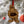 Load image into Gallery viewer, University of South Carolina Cocky Ornament – Crafted from Cherry and Maple Wood – USC Gamecocks
