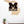 Load image into Gallery viewer, University of Michigan on State Wall Hanging - Crafted from Cherry or Maple Wood
