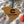 Load image into Gallery viewer, The Citadel Military College C and Star on State Ornament – Crafted from Cherry and Maple Wood – The Citadel Bulldogs
