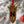 Load image into Gallery viewer, University of Nebraska Corn Ornament - Crafted from Cherry or Maple Wood - Nebraska Huskers

