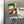 Load image into Gallery viewer, East Tennessee State University Block E Magnet - Crafted from Cherry or Maple Wood - East Tennessee State Buccaneers
