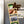 Load image into Gallery viewer, Air Force Academy Logo Magnet - Crafted from Cherry or Maple Wood - Air Force Falcons
