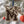 Load image into Gallery viewer, University of Memphis Block M Ornament – Crafted from Cherry and Maple Wood – Memphis Tigers

