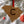 Load image into Gallery viewer, University of South Carolina Fight Song Ornament – Crafted from Cherry and Maple Wood – USC Gamecocks
