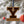 Load image into Gallery viewer, Yale University Athletic Y Ornament – Crafted from Cherry and Maple Wood – Yale Bulldogs
