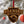 Load image into Gallery viewer, Roanoke College Maroons Ornament – Crafted from Cherry and Maple Wood – Roanoke Maroons

