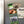 Load image into Gallery viewer, Western Carolina University Catamounts Magnet - Crafted from Cherry or Maple Wood - WCU Catamounts
