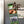 Load image into Gallery viewer, Air Force Academy Logo Magnet - Crafted from Cherry or Maple Wood - Air Force Falcons
