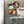 Load image into Gallery viewer, Florida State University Seminoles Magnet - Crafted from Cherry or Maple Wood - Florida State Seminoles
