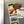 Load image into Gallery viewer, University of Florida Gators Magnet - Crafted from Cherry or Maple Wood
