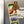 Load image into Gallery viewer, Appalachian State University Block A Magnet - Crafted from Cherry or Maple Wood - App State Mountaineers
