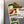 Load image into Gallery viewer, St. Edward's University Logo Magnet - Crafted from Cherry or Maple Wood - St. Edward's Hilltoppers
