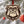Load image into Gallery viewer, University of Georgia Bulldog Ornament - Crafted from Cherry or Maple Wood - Georgia Bulldogs

