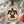 Load image into Gallery viewer, United States Air Force Thunderbirds Ornament – Crafted from Cherry or Maple Wood
