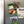Load image into Gallery viewer, University of Memphis Block M Tigers Magnet - Crafted from Cherry or Maple Wood - Memphis Tigers
