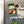 Load image into Gallery viewer, Texas State University Bobcat on State Magnet - Crafted from Cherry or Maple Wood - Texas State Bobcats
