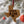 Load image into Gallery viewer, Texas A&amp;M University Fight Song Ornament – Crafted from Cherry and Maple Wood – Texas A and M Aggies
