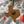 Load image into Gallery viewer, Baylor University Fight Song Ornament – Crafted from Cherry and Maple Wood – Baylor Bears
