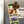Load image into Gallery viewer, University of North Carolina at Wilmington Logo Magnet - Crafted from Cherry or Maple Wood - UNCW Seahawks
