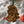 Load image into Gallery viewer, Michigan State University Vault Sparty Ornament – Crafted from Cherry and Maple Wood – Michigan State Spartans
