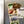 Load image into Gallery viewer, Georgia Southern Eagles Magnet - Crafted from Cherry or Maple Wood - Georgia Southern Eagles
