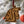 Load image into Gallery viewer, Washington State University Cougar Ornament – Crafted from Cherry and Maple Wood – Washington State Cougars
