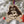 Load image into Gallery viewer, East Carolina University Jolly Roger Ornament – Crafted from Cherry and Maple Wood –ECU Pirates
