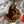 Load image into Gallery viewer, Wofford College Terriers Ornament – Crafted from Cherry and Maple Wood – Wofford Terriers
