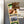 Load image into Gallery viewer, Campbell University Fighting Camels Magnet - Crafted from Cherry or Maple Wood - Campbell Camels
