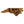 Load image into Gallery viewer, East Carolina University Pirate State of Mind Magnet - Crafted from Cherry or Maple Wood - ECU Pirates
