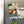 Load image into Gallery viewer, University of Nebraska N Logo Magnet - Crafted from Cherry or Maple Wood - Air Force Falcons
