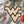 Load image into Gallery viewer, West Virginia University Flying WV Ornament – Crafted from Cherry and Maple Wood – West Virginia Mountaineers
