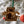 Load image into Gallery viewer, Loyola-Maryland Greyhounds Ornament – Crafted from Cherry or Maple Wood – Loyola Greyhounds
